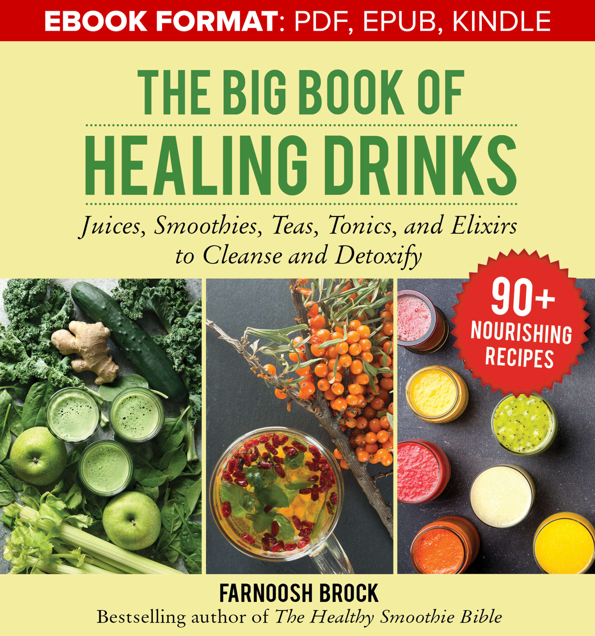 The Big Book of Healing Drinks Juices, Smoothies, Teas, Tonics, and